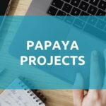 Papaya Projects project management app